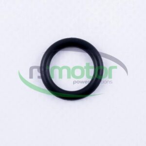 Junta Tórica MWM RS-01166001