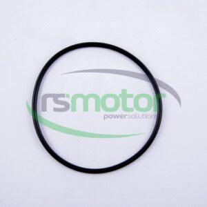 Gasket MWM RS-01166131