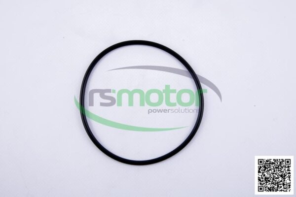 Gasket MWM RS-01166131