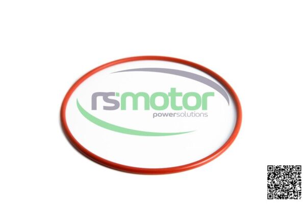 O-seal MWM RS-01166170