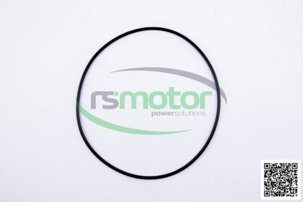 O-seal MWM RS-01166180