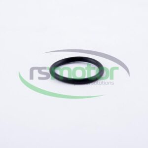 Junta tórica MWM RS-01167374