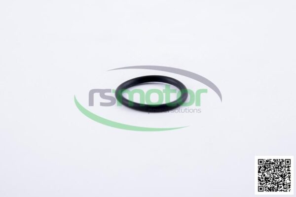O-seal MWM RS-01167374