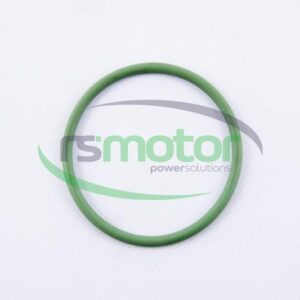 Junta tórica MWM RS-01167395