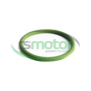 Junta tórica MWM RS-01171113