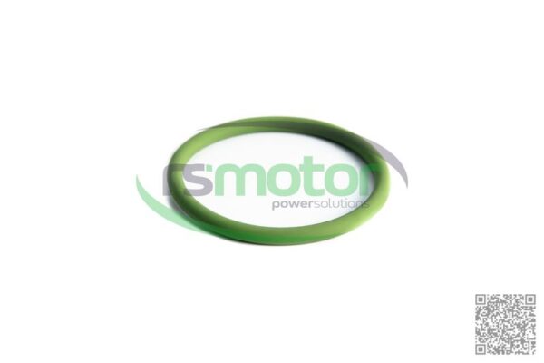 O-seal MWM RS-01171113