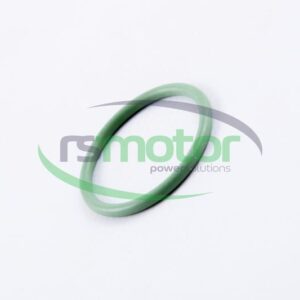 Junta tórica MWM RS-01171277