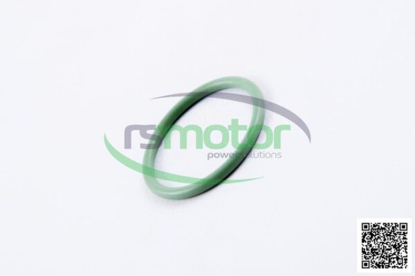 O-seal MWM RS-01171277