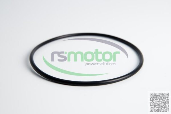 O-seal MWM RS-01171417