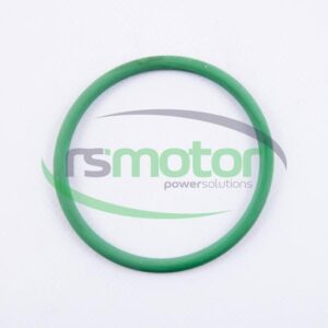 Junta tórica MWM RS-01173200