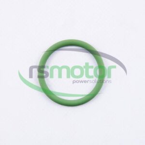 Junta tórica MWM RS-01173375