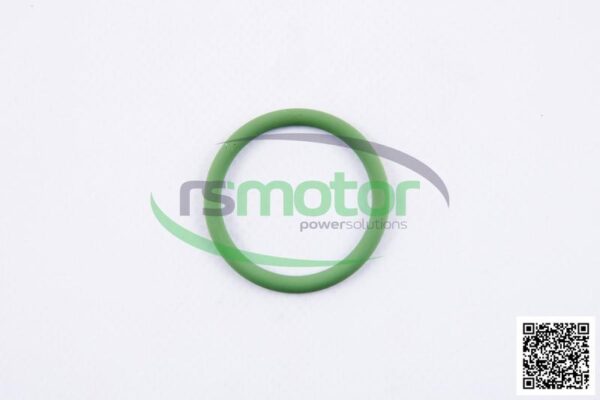 O-seal MWM RS-01173375