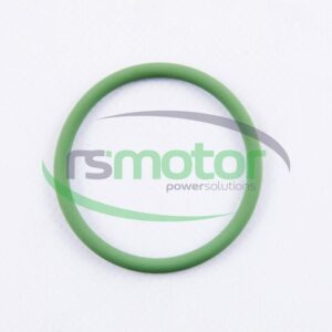 Junta tórica MWM RS-01173586