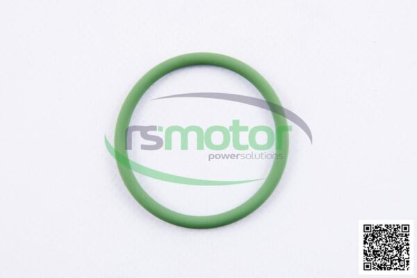 O-seal MWM RS-01173586