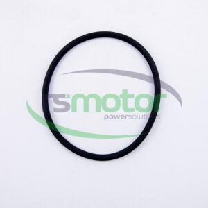 Junta tórica MWM RS-01173923