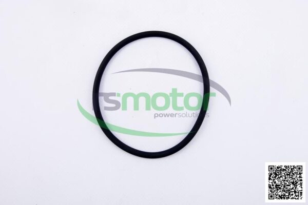 O-seal MWM RS-01173923