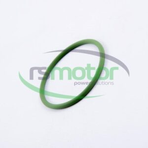 Junta tórica MWM RS-01174195