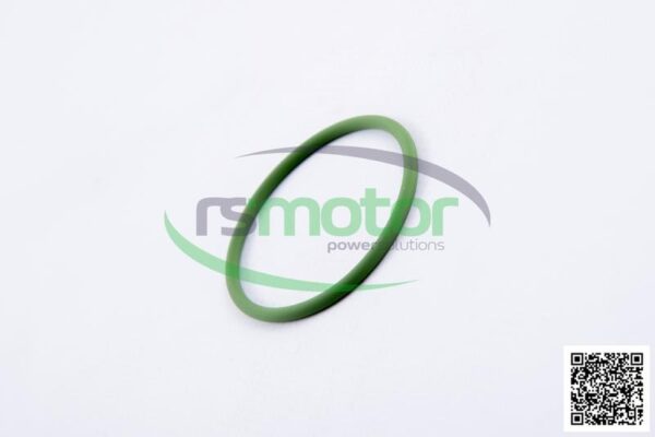 O-seal MWM RS-01174195