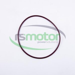 Junta tórica MWM RS-01174503