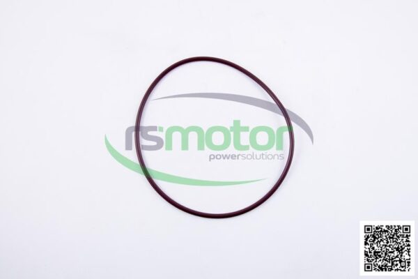 O-seal MWM RS-01174503