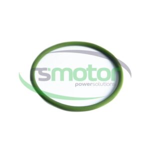 Junta tórica MWM RS-01175851
