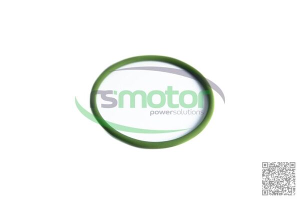 O-Seal MWM RS-01175851