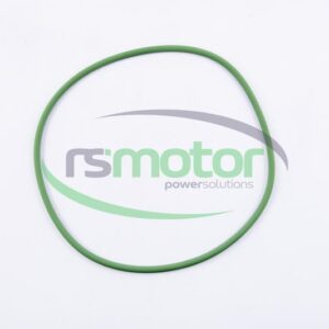 Junta tórica MWM RS-01175877