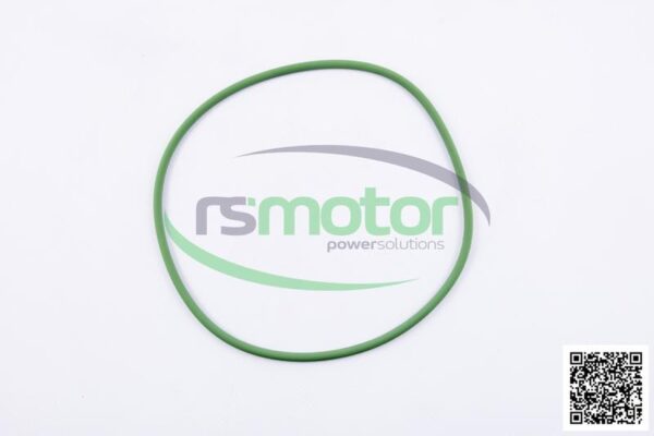 O-seal MWM RS-01175877