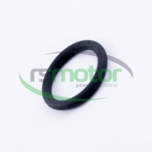 Junta tórica MWM RS-01176801