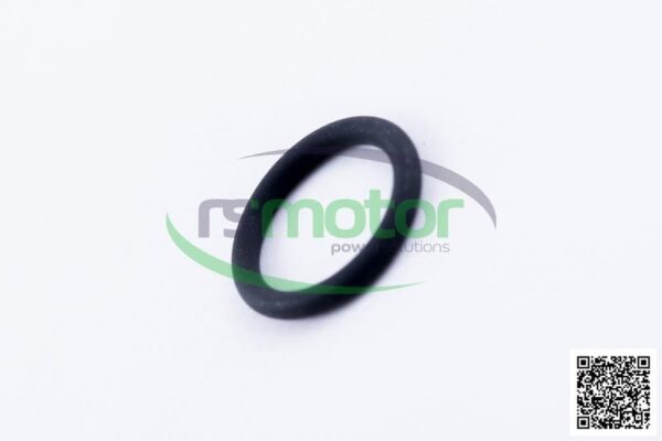O-seal MWM RS-01176801