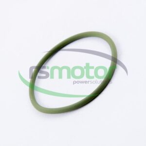 Junta tórica MWM RS-01176807