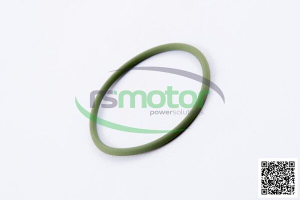 O-Seal MWM RS-01176807