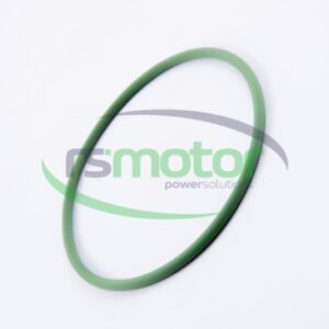 Junta tórica MWM RS-01176819