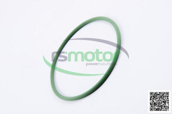 O-seal MWM RS-01176819