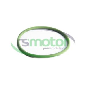 Junta tórica MWM RS-01177727
