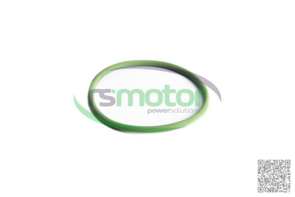 O-seal MWM RS-01177727