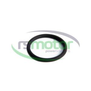 Junta tórica MWM RS-01178326