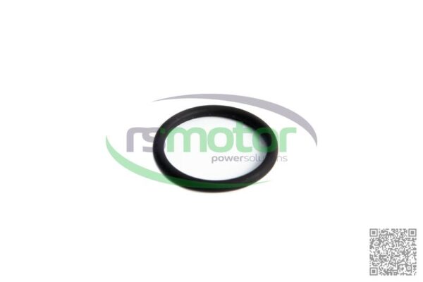 O-seal MWM RS-01178326