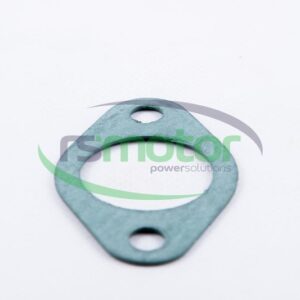 Gasket MWM RS-01178421