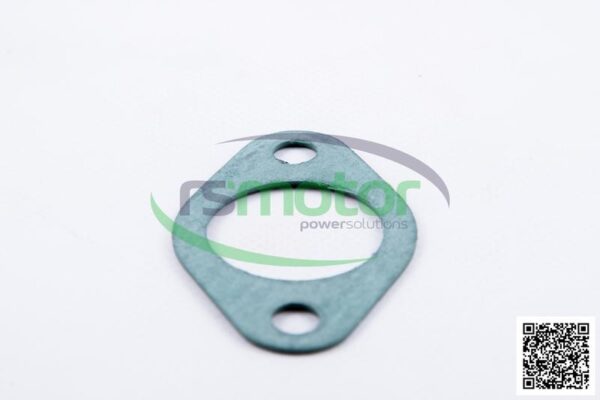 Gasket MWM RS-01178421