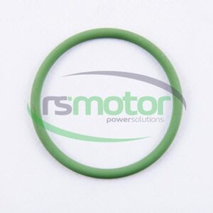 Junta tórica MWM RS-01178582