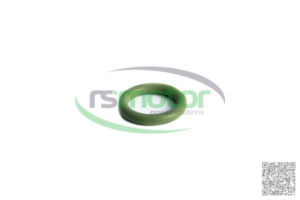 O-seal MWM RS-01179104