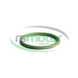 Junta tórica MWM RS-01179353