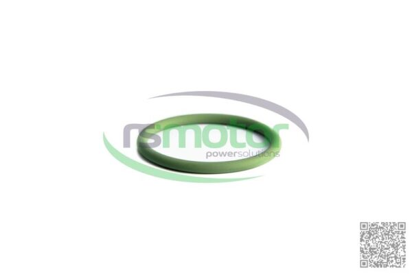 O-seal MWM RS-01179353