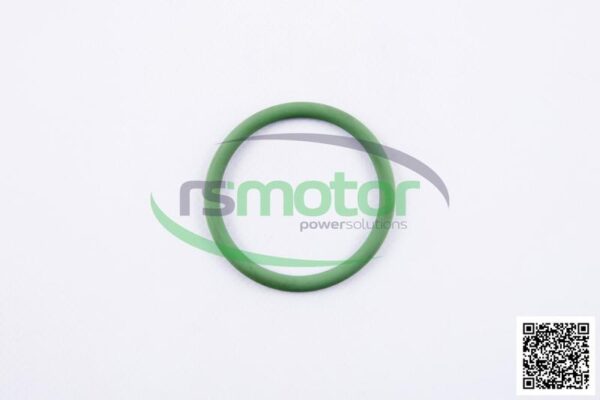 O-seal MWM RS-01179355