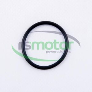 Junta tórica MWM RS-01179647