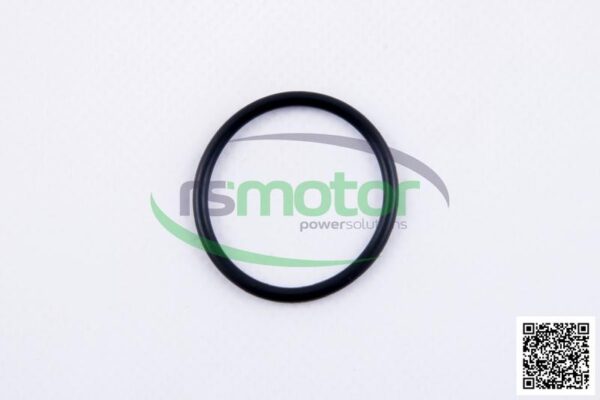 O-seal MWM RS-01179647
