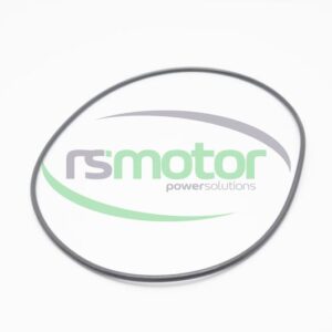 Junta tórica MWM RS-01180026