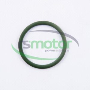Junta tórica MWM RS-01180294