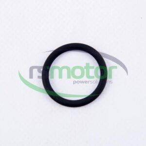 Junta tórica MWM RS-01180345